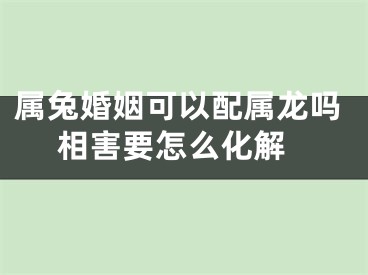 属兔婚姻可以配属龙吗 相害要怎么化解