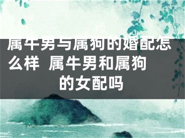 属牛男与属狗的婚配怎么样  属牛男和属狗的女配吗