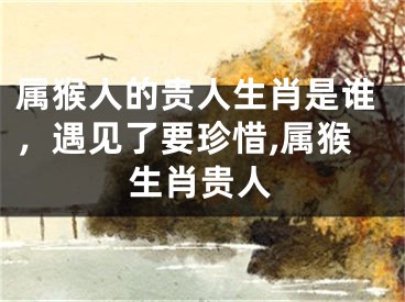 属猴人的贵人生肖是谁，遇见了要珍惜,属猴生肖贵人