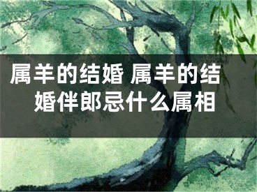 属羊的结婚 属羊的结婚伴郎忌什么属相