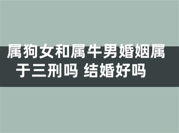 属狗女和属牛男婚姻属于三刑吗 结婚好吗