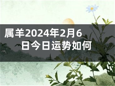 属羊2024年2月6日今日运势如何