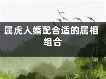 属虎人婚配合适的属相组合