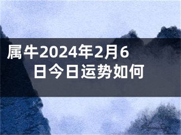 属牛2024年2月6日今日运势如何