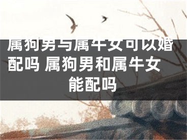 属狗男与属牛女可以婚配吗 属狗男和属牛女能配吗