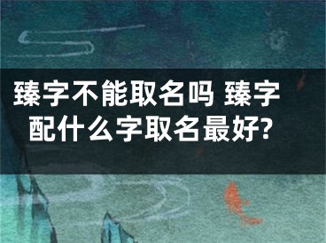 臻字不能取名吗 臻字配什么字取名最好?