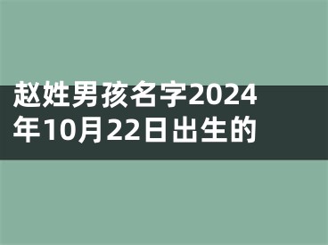 赵姓男孩名字2024年10月22日出生的