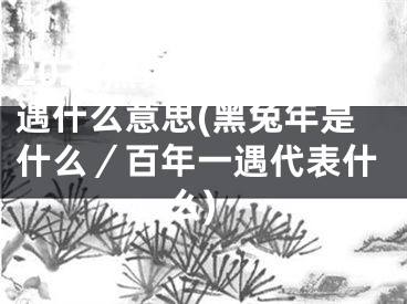2024黑兔年百年一遇什么意思(黑兔年是什么／百年一遇代表什么)