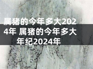属猪的今年多大2024年 属猪的今年多大年纪2024年