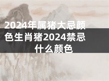 2024年属猪大忌颜色生肖猪2024禁忌什么颜色