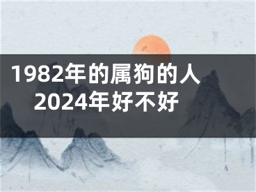 1982年的属狗的人2024年好不好