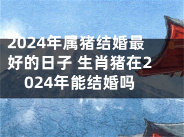 2024年属猪结婚最好的日子 生肖猪在2024年能结婚吗