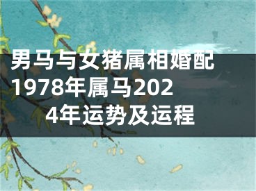 男马与女猪属相婚配 1978年属马2024年运势及运程