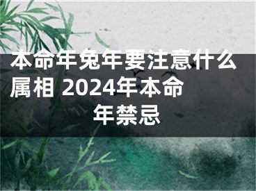本命年兔年要注意什么属相 2024年本命年禁忌