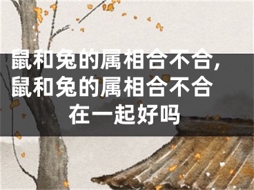 鼠和兔的属相合不合,鼠和兔的属相合不合 在一起好吗