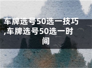 车牌选号50选一技巧,车牌选号50选一时间