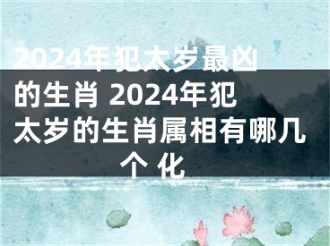 2024年犯太岁最凶的生肖 2024年犯太岁的生肖属相有哪几个 化