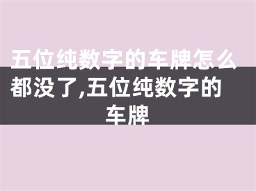 五位纯数字的车牌怎么都没了,五位纯数字的车牌