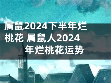 属鼠2024下半年烂桃花 属鼠人2024年烂桃花运势