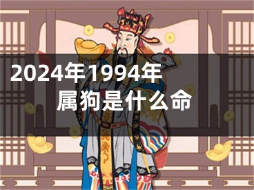 2024年1994年属狗是什么命