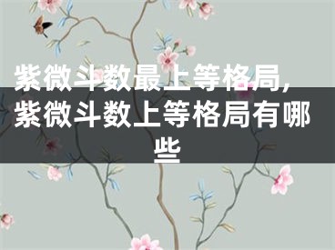 紫微斗数最上等格局,紫微斗数上等格局有哪些
