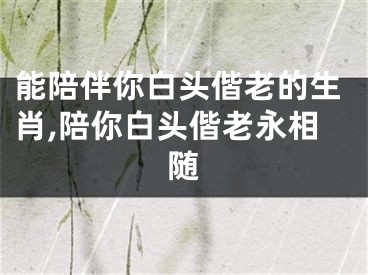 能陪伴你白头偕老的生肖,陪你白头偕老永相随