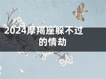 2024摩羯座躲不过的情劫