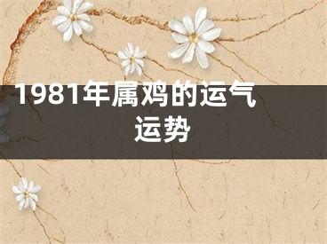 1981年属鸡的运气运势