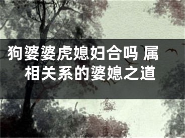 狗婆婆虎媳妇合吗 属相关系的婆媳之道