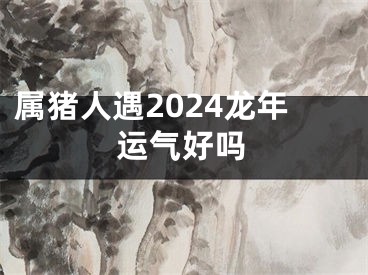 属猪人遇2024龙年运气好吗