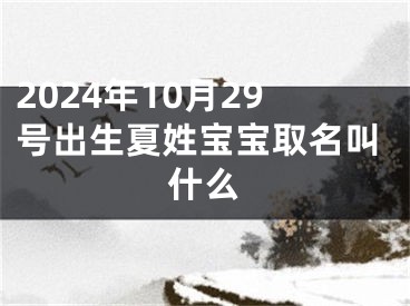 2024年10月29号出生夏姓宝宝取名叫什么
