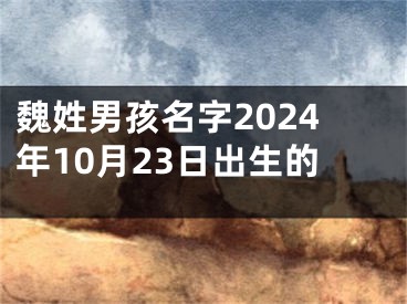 魏姓男孩名字2024年10月23日出生的
