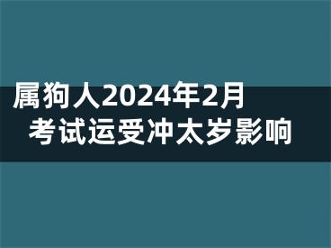 属狗人2024年2月考试运受冲太岁影响
