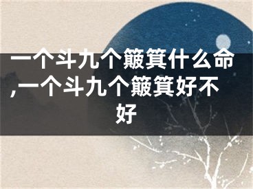 一个斗九个簸箕什么命,一个斗九个簸箕好不好