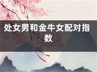 处女男和金牛女配对指数