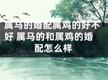 属马的婚配属鸡的好不好 属马的和属鸡的婚配怎么样