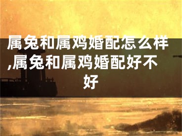 属兔和属鸡婚配怎么样,属兔和属鸡婚配好不好