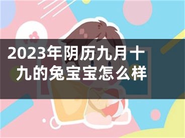 2023年阴历九月十九的兔宝宝怎么样 