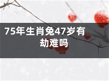 75年生肖兔47岁有劫难吗