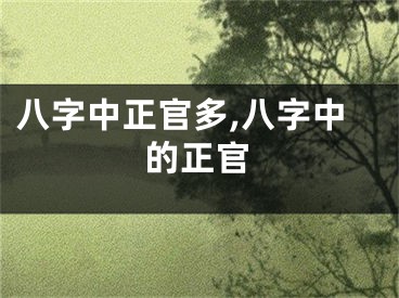 八字中正官多,八字中的正官