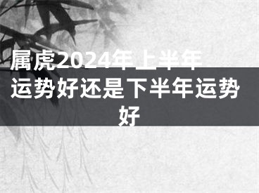 属虎2024年上半年运势好还是下半年运势好