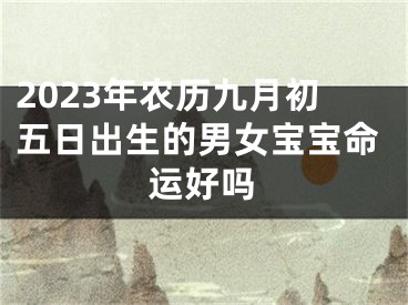 2023年农历九月初五日出生的男女宝宝命运好吗