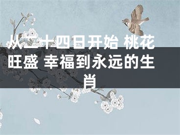 从二十四日开始 桃花旺盛 幸福到永远的生肖