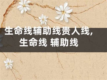 生命线辅助线贵人线,生命线 辅助线