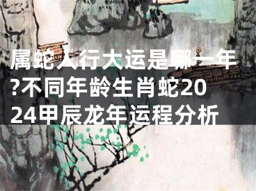 属蛇人行大运是哪一年?不同年龄生肖蛇2024甲辰龙年运程分析