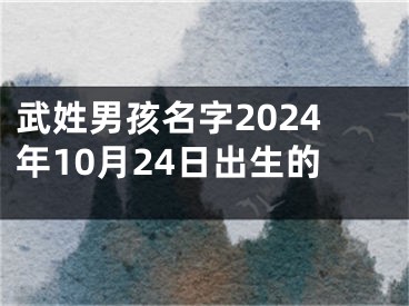 武姓男孩名字2024年10月24日出生的