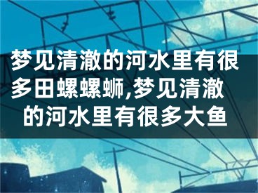 梦见清澈的河水里有很多田螺螺蛳,梦见清澈的河水里有很多大鱼