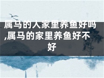 属马的人家里养鱼好吗,属马的家里养鱼好不好