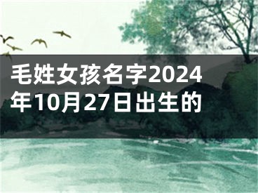 毛姓女孩名字2024年10月27日出生的