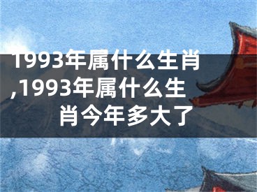 1993年属什么生肖,1993年属什么生肖今年多大了